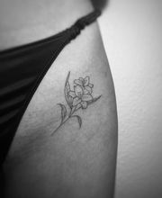 Nil Fineline imagen 16