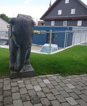 Gasthof Hirschen Bild 6