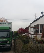 Felger Umzüge & Transporte | Einlagerung | Transporter Vermietung | Ludwigsburg Bild 8