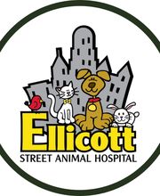 Ellicott Street Animal Hospital image 1