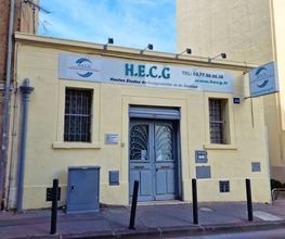 HECG image 8