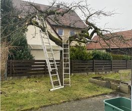 Gartenservice Mark Miess Bild 57