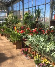 Jardinerie André image 13