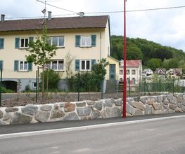 Parolini Guy image 2