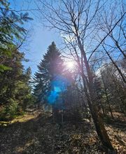 TAXI DUVERT FRANCOIS image 1