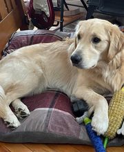 Christopher Fauver DDS Comprehensive Dentistry and Oral Wellness image 12