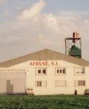 Afruse-aceite-2.jpg