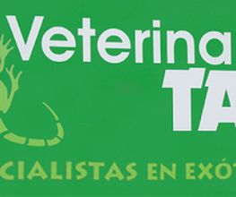CLINICA VETERINARIA TAFI.png