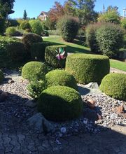 Berisha Gartenbau & Hauswartung GmbH Bild 6