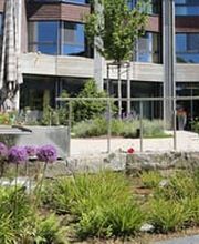 Alterszentrum Ins Bild 3