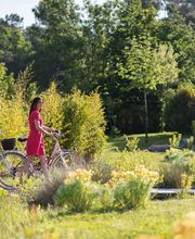 La Grée des Landes image 5