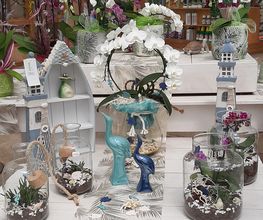 Gartenfachmarkt Zschopauer Straße Bild 5