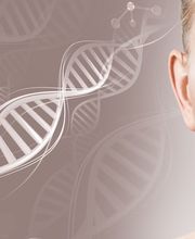 Center For Natural Medicine - Dr. Kenneth Lashutka image 9