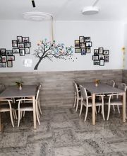 Fondation Mimosas Bild 6