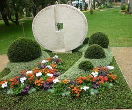 Blumen Weiss Bild 3