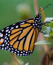 Sabin Marketing and Promotions image 12