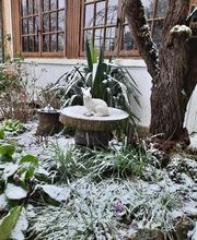 Guinguette et Gîte Du Passage image 3