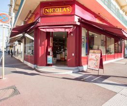 Nicolas Saint Raphael image 1