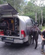 Henrotay Gilles image 6