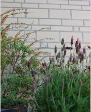 Qualibuild Sàrl Bild 9