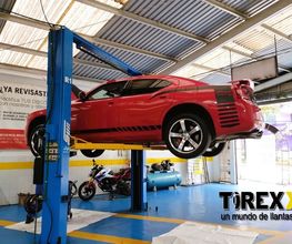 Michelin -Tirex Ruíz Cortinez imagen 16