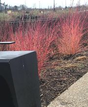 Carré Vert Paysage image 18