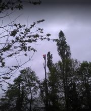 Delange Pere et Fils image 4