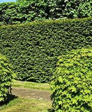 Lefevre paysage image 3