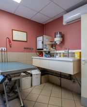 Clinique vétérinaire de Cognac - Sevetys image 12