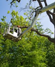 Barnett Haus- und Grundstückspflege Bild 2