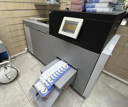 Quadri Copie image 4