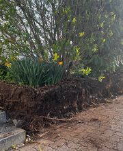 Bühlmann & Partner Garten GmbH Bild 14