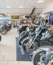 Passion Nature Brune image 15