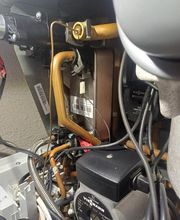 EI Geloen David image 5