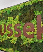 russek Hörgeräte in Soest Bild 1