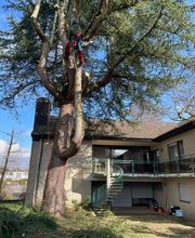 Alles-Im-Seil Bild 3