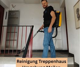 Sopa Reinigung Bild 2