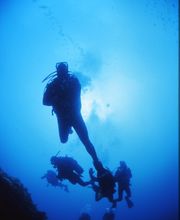 Domenico Rizzi immagine 5