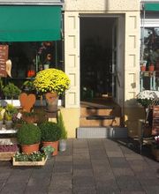 Julias-Blumenwelt Bild 1