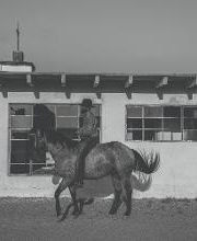 Boot Barn image 8