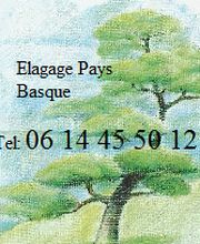 Elagage Pays Basque image 1
