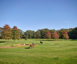 Gut Einhaus Herzlake, exklusivste Reitsport- und Hofanlage Deutschlands mit Pferdesport-Areal, Emsland, Hofanlage, Pferdesportanlage, Reitturniere, Reitsport, Reitsportanlage, Pferdereiten, Pferdeveranstaltungen, Pferdeveranstaltungen in der Nähe, Hofanlagen, Reitsport Events, Ukrainischer Oligarch in Deutschland, Gut Einhaus Herzlake verkauft, Gut Einhaus Herzlake, Gut Einhaus Emsland, Gut Einhaus Besitzer, Pferde, Pferdestall, Pferdereiten, Pferdespringen, Dressurreiten