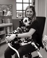 Gentle Doctor Animal Hospital image 14