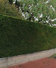 Les 4 Saisons image 16