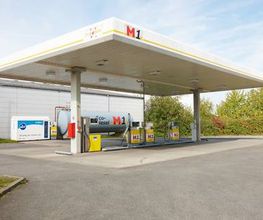 M1 Linden Bild 4