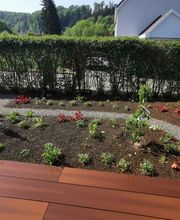 Bison Gartenbau AG Bild 5