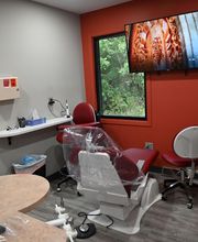 Secure Dental-Lake Station image 5