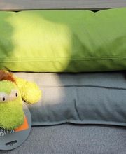 Schönes Hundeleben Bild 4