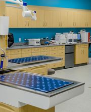 AcutePet Urgent Care image 16