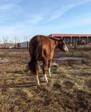 Southwood Veterinary Clinic image 15